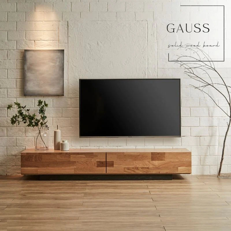 KAWAGUCHI KAGU - GAUSS TV Board