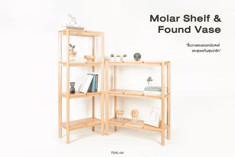 Filobula - Molar Shelf