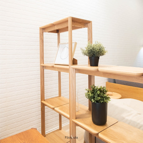 Filobula - Molar Shelf