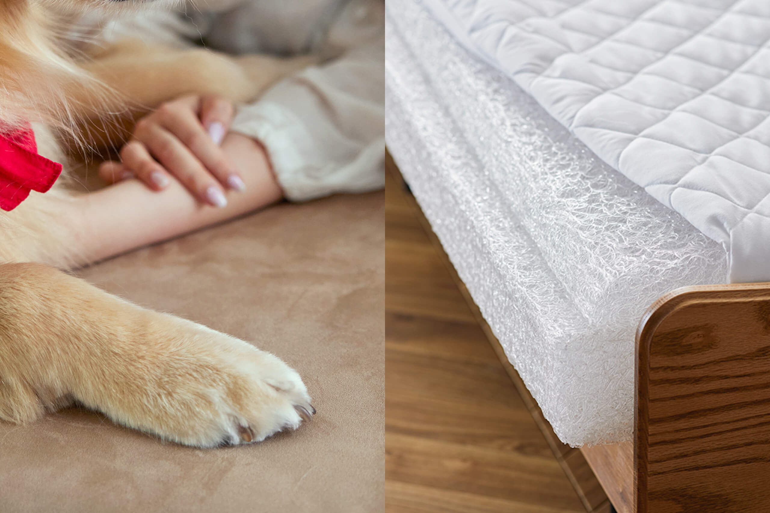 MEUBLE - FourS Sofa Bed