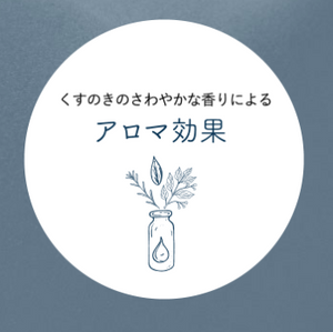 Kusu Handmade - Camphor Air Mist