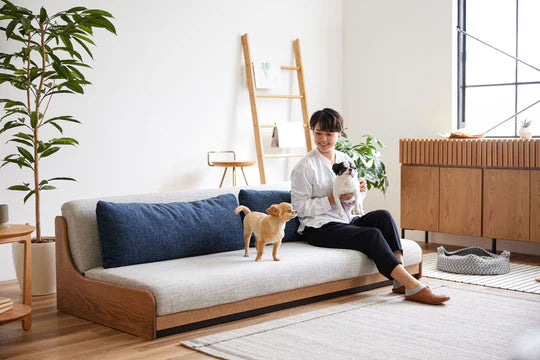 MEUBLE - Andza Sofa Bed