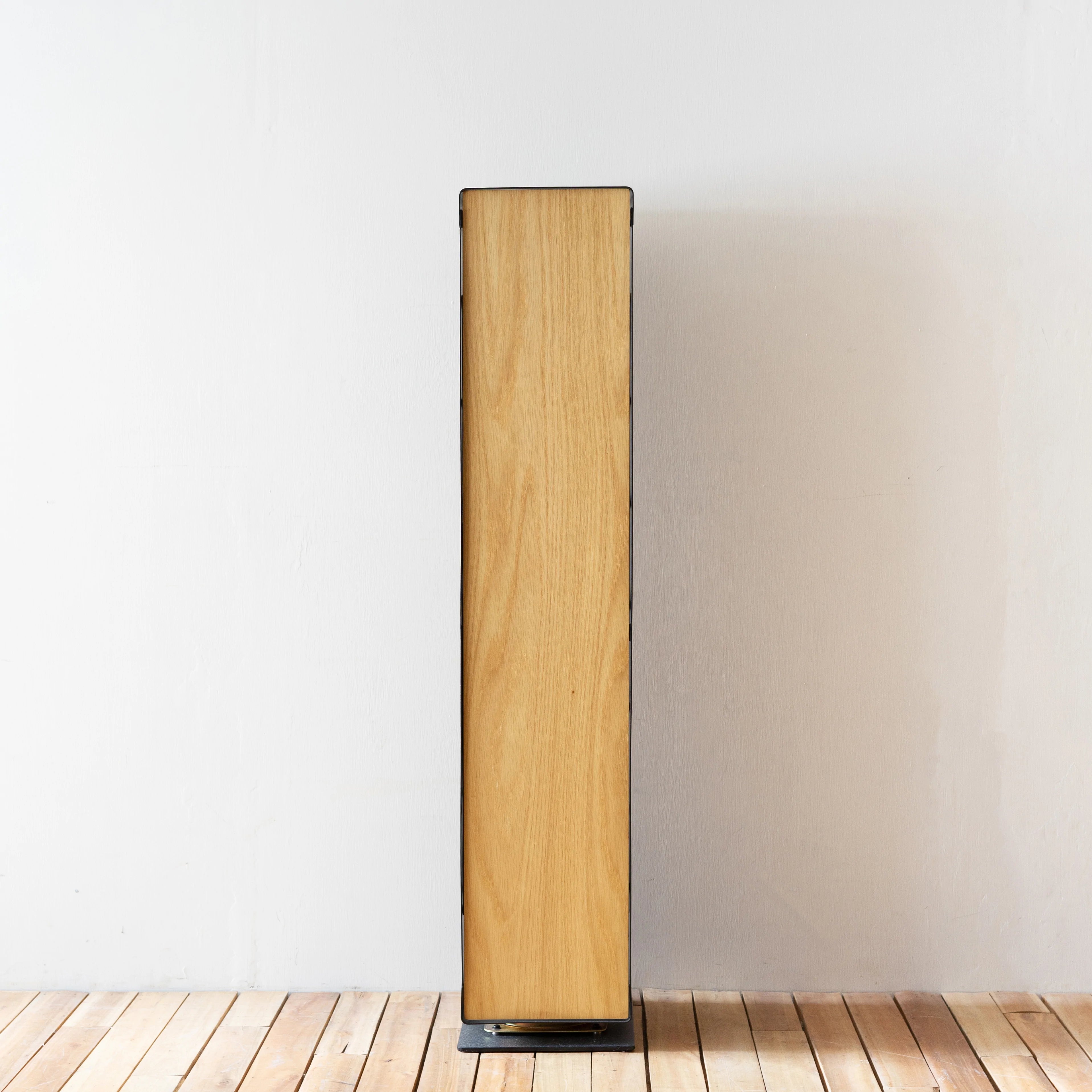 EVERYDAY STUDIO - Tall Shoe Storage