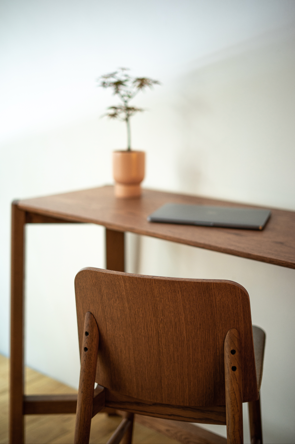 Filobula - Slice Bar Stool