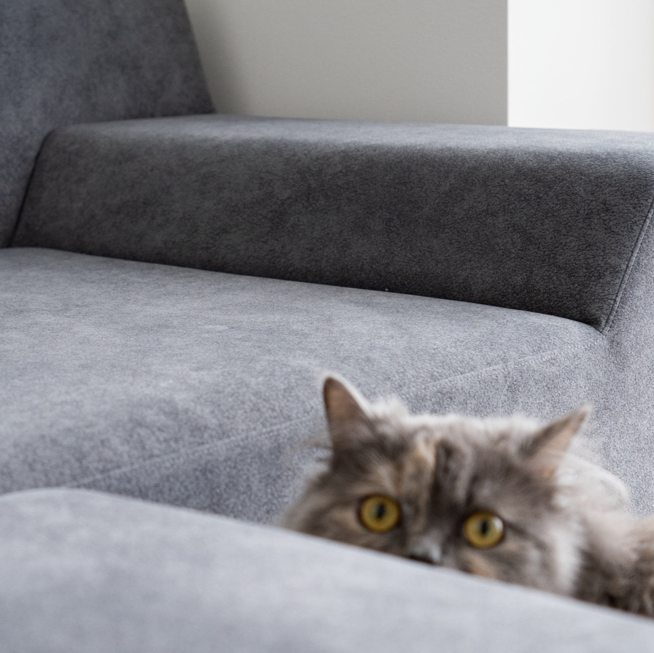 FLANNEL Sofa - SIESTA Sofa (2-Seater Short, 140cm)