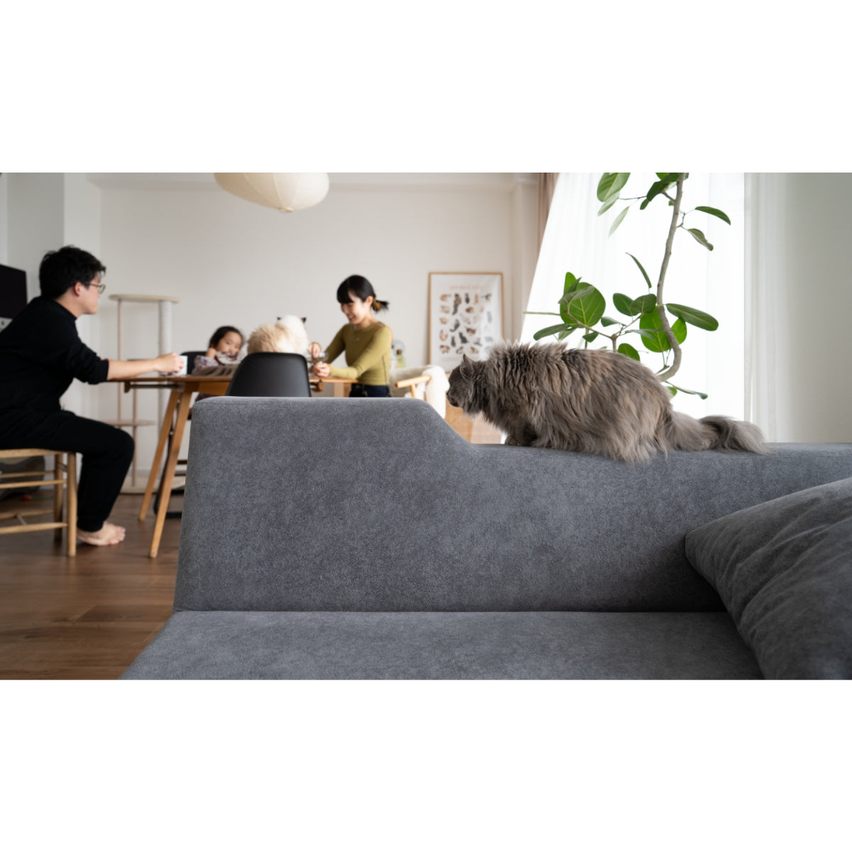 FLANNEL Sofa - SIESTA Sofa (2-Seater Short, 140cm)